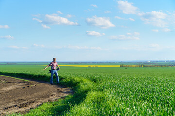 a man as a farmer walking along the field, dressed in a plaid shirt and jeans, checks and inspects young sprouts crops of wheat, barley or rye, or other cereals, a concept of agriculture and agronomy