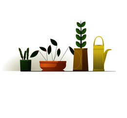 Different home flowers and watering can on a white background in a design illustration with a place for text.