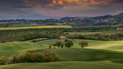 Obraz premium Tuscany spring, rolling hills and windmill on sunset. Rural landscape. Green fields. Italy, Europe