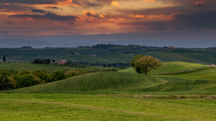 Tuscany spring, rolling hills and windmill on sunset. Rural landscape. Green fields. Italy, Europe