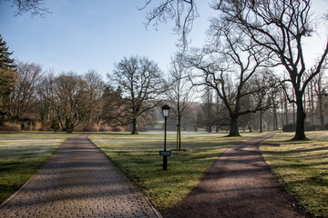 Bäume im Park mit Schattenspiel und Rauhreif auf einem Rasen im Park vor blauem Himmel. Die beiden Wege bilden ein V und in der Mitte steht eine Laterne.