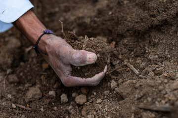 Siembra y recolección de ají 