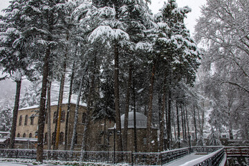 Fototapete bei efototapeten.de bestellen   