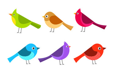 Cartoon cute birds collection