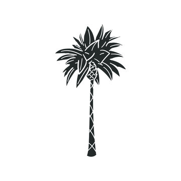 Tree Palm Icon Silhouette Illustration. Beach Vector Graphic Pictogram Symbol Clip Art. Doodle Sketch Black Sign.