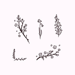 spring blooming flowers and tree floral set illustration decorative vector