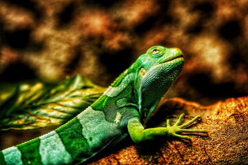 green lizard on a branch