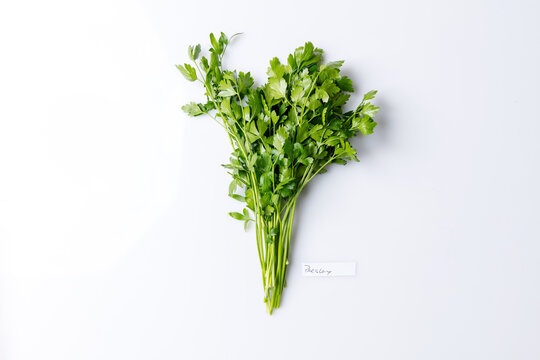 Bunch Of Flat Leaf Parsley Isolated On White