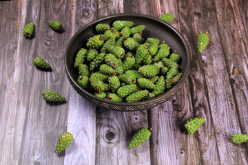 Green Pine Cones. Young green pine cones in the clay  cup, top view.