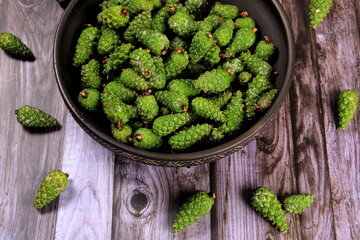 Green Pine Cones. Young green pine cones in the clay  cup, top view.