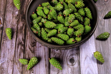 Green Pine Cones. Young green pine cones in the clay  cup, top view.