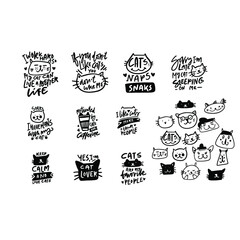 Cat. Hand drawn illustration. Funny hand lettering quote