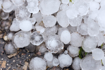 A pile of large hail on the ground - obrazy, fototapety, plakaty