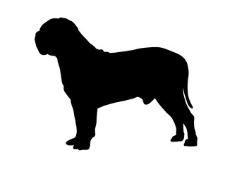 Dogue de bordeaux dog silhouette, Vector illustration silhouette of a dog on a white background.
