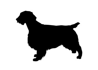 Welsh springer spaniel dog silhouette, Vector illustration silhouette of a dog on a white background.
