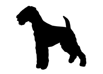 Airedale Terrier dog silhouette, Vector illustration silhouette of a dog on a white background.