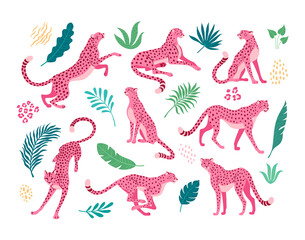 Pink cheetahs collection. Vector illustration of cartoon cheetahs in various actions: lies, sitting, standing, walking, and running. Surrounded by tropical leaves. Isolated on white © nadzeya26