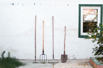 garden tools: shovel, rake, pitchfork. old gardening tools, rake, shovel, pitchfork, hoe on white...