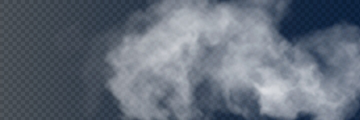 Fog or smoke isolated transparent special effect. White vector cloudiness, mist or smog background. Vector illustration