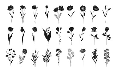 Floral set, hand drawn flowers silhouettes. Poppy, rose, lily of the valley, lavender, chamomile and other botanical elements for design projects. Vector illustration.