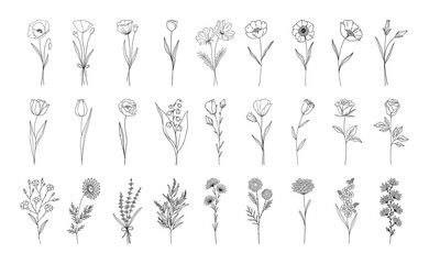 Floral set, line style hand drawn flowers. Poppy, rose, lily of the valley, lavender, chamomile and other botanical elements for design projects. Vector illustration.