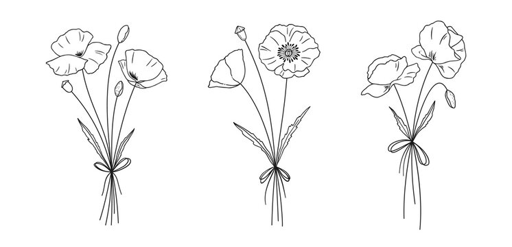 Poppies bouquets set. Hand drawn line art meadow flowers for design projects. Floral sketches. Botanical vector illustration.