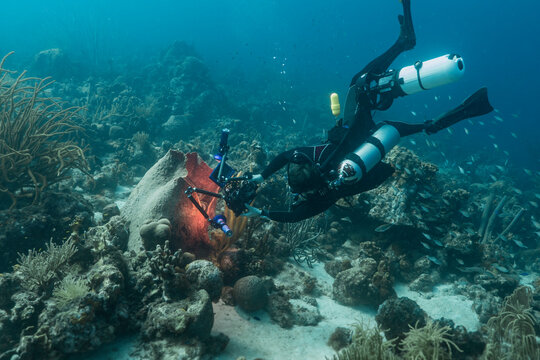 Seascape with  a diver and underwater cinematographer filming in coral reef of Caribbean Sea, Curacao