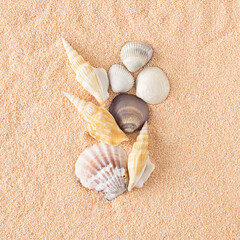 Sea shells of different shapes arranged on the sand. Minimum summer concept