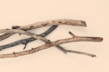 Beautiful dry tree branches on beige background. Flat lay, top view minimalistic natural composition for cosmetic products