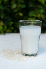 Vegetable rice milk. Organic herbal drink made from bio rice.