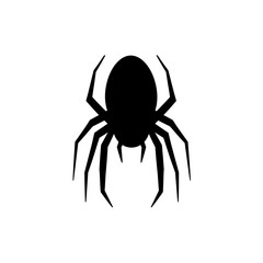 spider isolated on white background