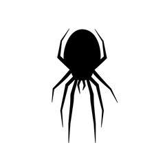 spider on a white background