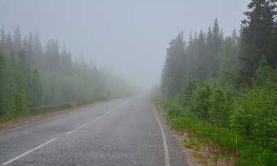 Naklejka premium road in the forest road inhe fog
