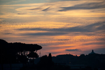 Un Atardecer en Roma