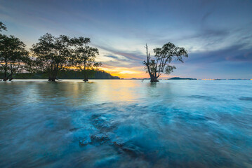 
Beautiful sunset with rocky fourgrounds and mangrove trees on the coast of Tanjung on the edge of Batam Island