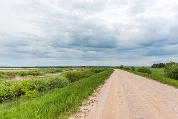 Vast Field of Wildflowers and Grass in Rural Scene with Dirt Road