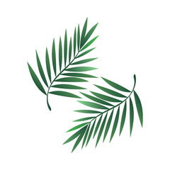 Palm tree leaves symbol vector isolated on white background , illustration Vector EPS 10