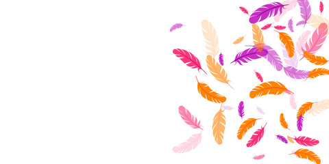 Orange purple pink red feather floating background © SunwArt