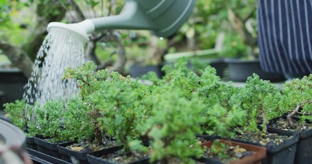 Close up of caucasian male gardener watering plants at garden center - Powered by Adobe