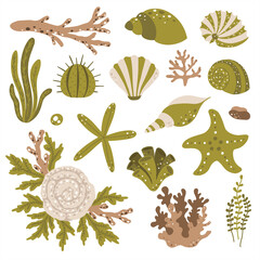 Set of marine plants and seashells in scandinavian style - 442388546