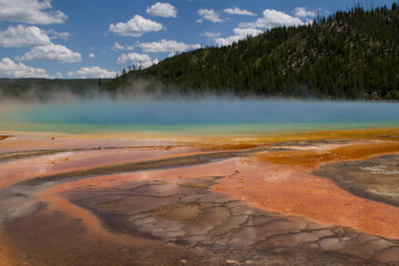 Yellowstone Hot Spring