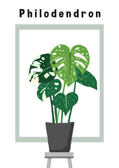 Philodendron | Monstera water color style vector