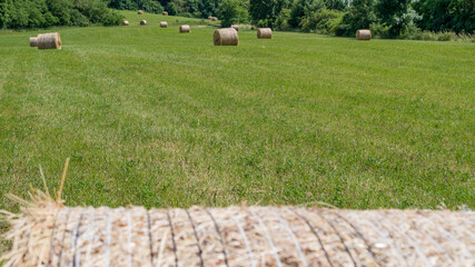 Straw bales on the field ready to pick up