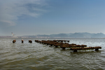 Fototapeta na wymiar unfinished pier in the sea and seagulls on it