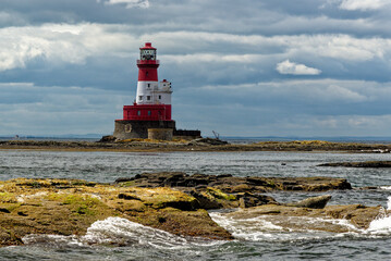 Fototapeta premium Common Seals and Longstone Lighthouse in the farne Islands - United Kingdom