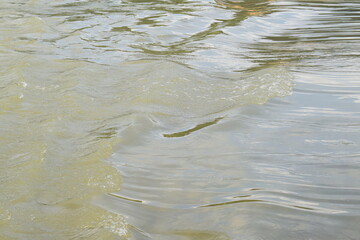Wellen im Rhein