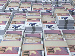 Macedonian money. Macedonian denar banknotes. 10 MKD denari bills.