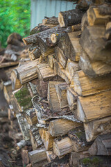 Fototapeta premium stack of firewood