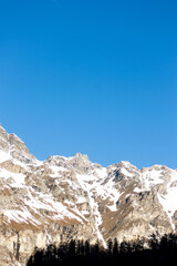 Trees silhouette against a snowy high mountain in italian Alps near Mont Rosa