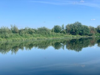 Obraz premium lake in the forest